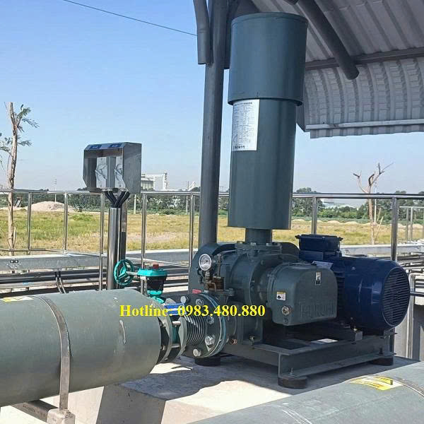 Máy thổi khí Tsurumi RSR