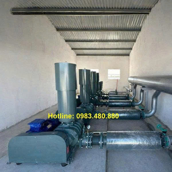 Máy thổi khí Tsurumi RSR